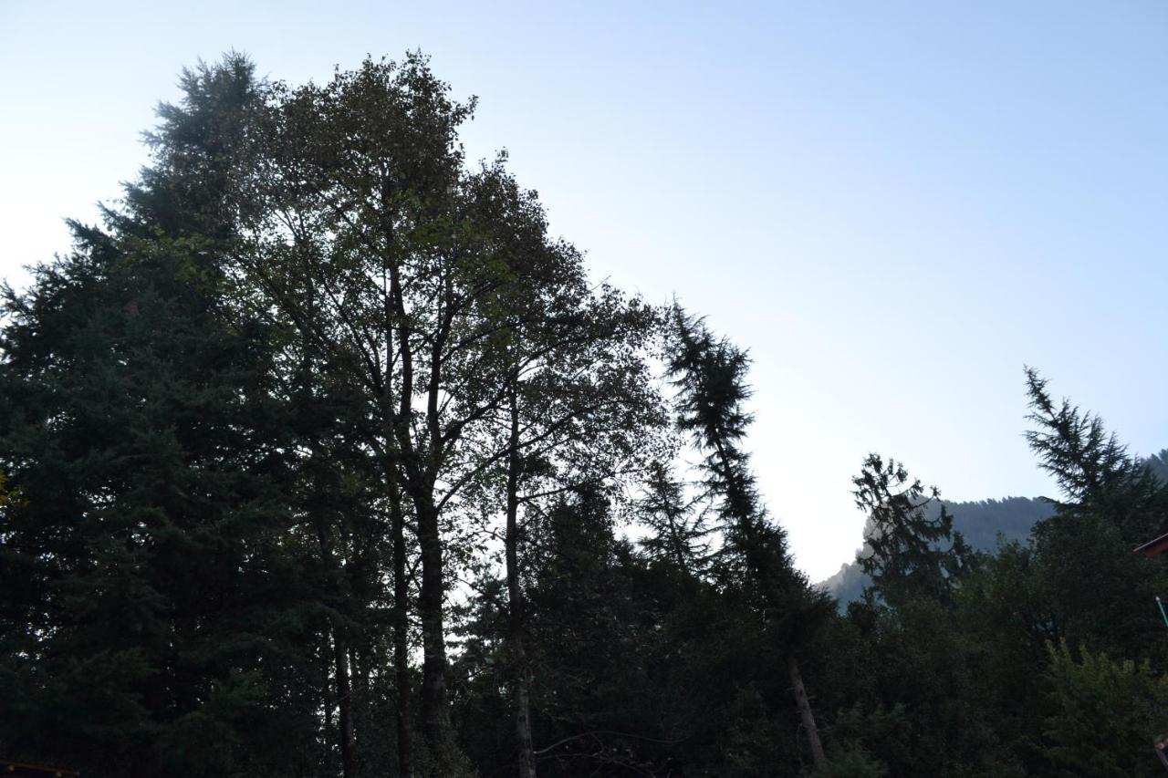 Forest Wood Cottage Manāli Εξωτερικό φωτογραφία